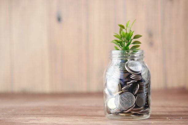 A glass jar with coins and a small bransch with leaves on it growing out of the jar.