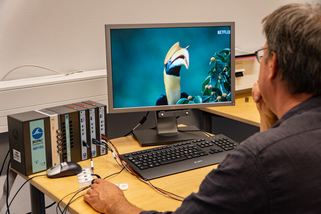 [Translate to Svenska:] person sitting in fron of a computer screen with a tucan bird on it. Cords are connected to a box named BioPac and are going towards the person.