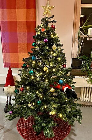 [Translate to English:] christmas tree